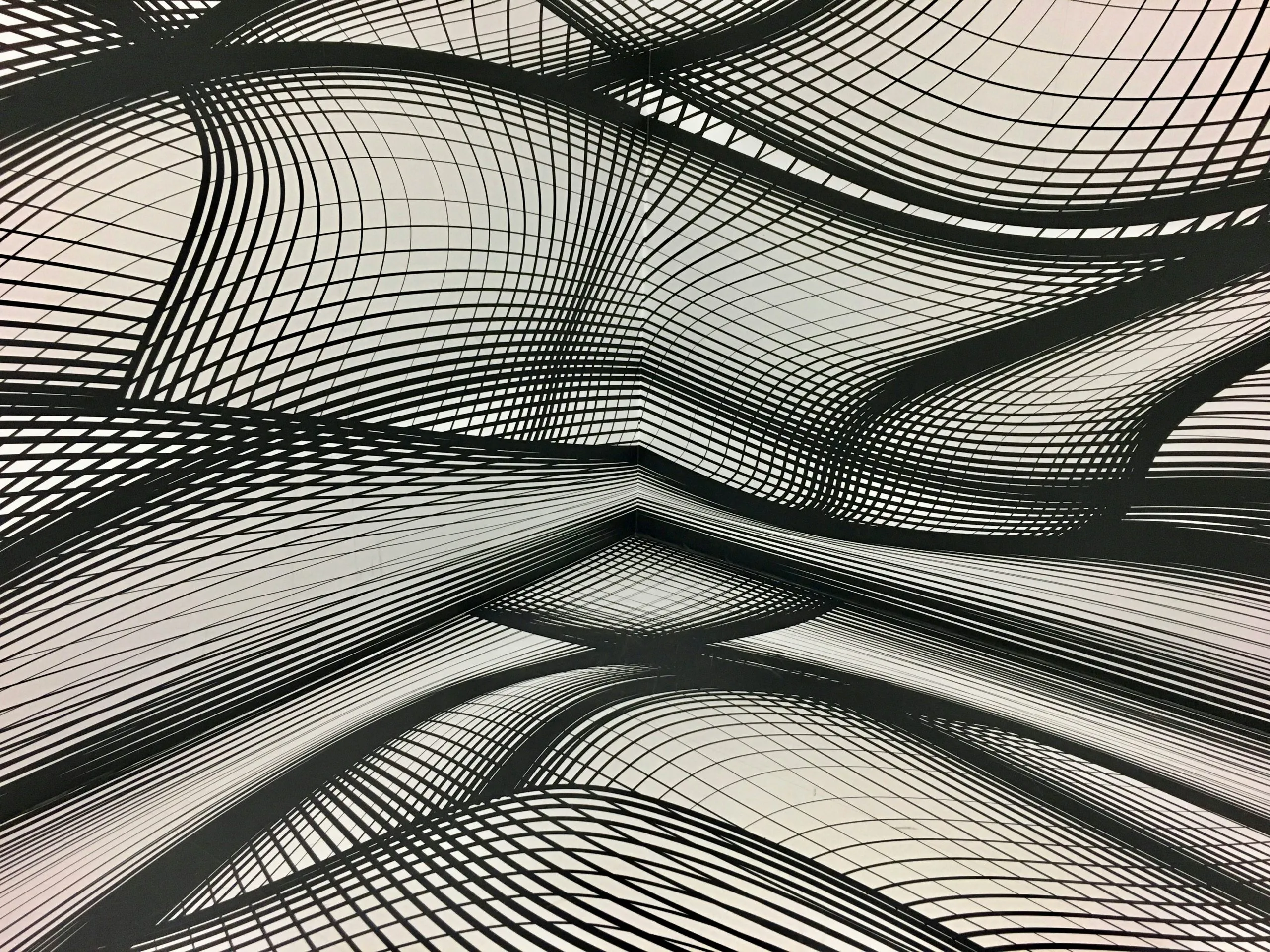 Abstract black-and-white moire pattern of warped, flowing grid lines forming undulating wave-like ridges and valleys